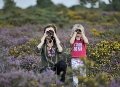 Family bird watching