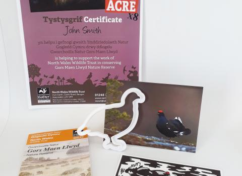 Sponsor pack shot Gors Maen Llwyd Nature Reserve