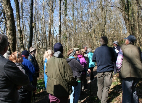 Alun and Chwiler Living Landscape guided walk
