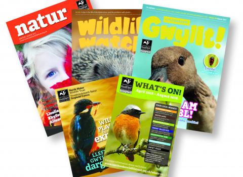 Membership publications