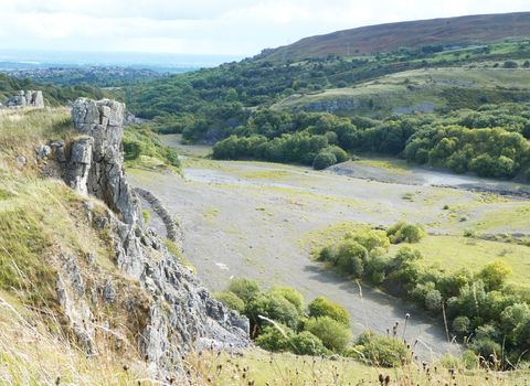 A quarry area now overgrown with vegetation, trees and other larger plants, but still with large bare patches of ground. To the left there is a steep rockface, with grasses growing everywhere. To the right hills and woodlands rise up to enclose the area. In the very far left background a town can be seen, along with fields fading into the horizon and meeting the clouds.