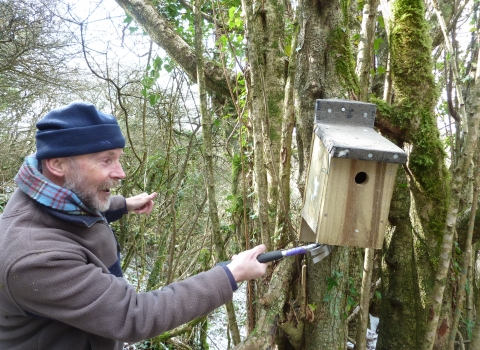 A man in warm winter clothing on the left, in the middle of hammering a nail on the bottom of a bird box to the right, to attach it to the tree. The bird box has a simple round hole in the front, weather proof roofing on the lid and a latch on the left side to hold the lid. The tree it is being attached to is no thicker than the box, and in a small group of other similar trees, all covered with mosses and other vegetation growing on them.