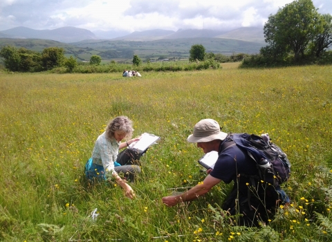 Vegetation monitoring at Caeau Tan y Bwlch Nature Reserve