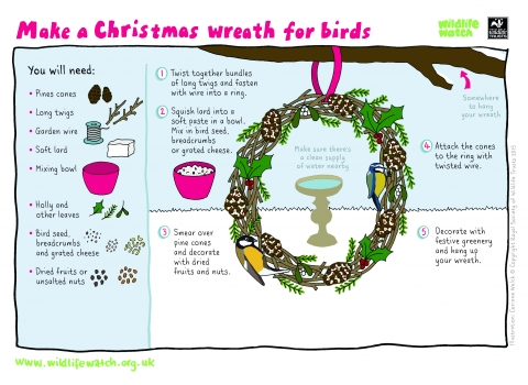 Make a Christmas Wreath for birds (Activity Sheet)