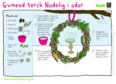 Christmas Wreath for birds (Activity Sheet - Cymraeg)