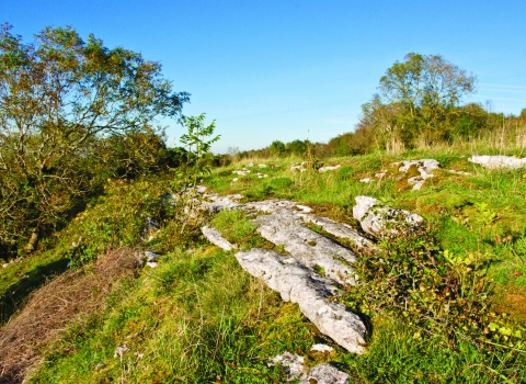 Aberduna Nature Reserve