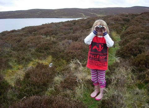 Birdwatching at Gors Maen Llwyd