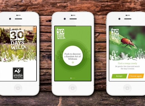 30 Days Wild App