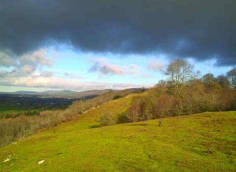 Graig Wyllt nature reserve