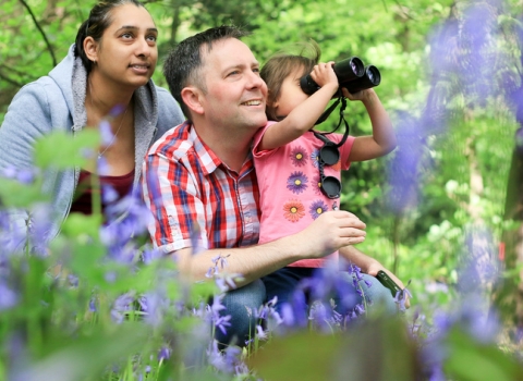 people and bluebells