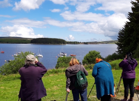 osprey viewing