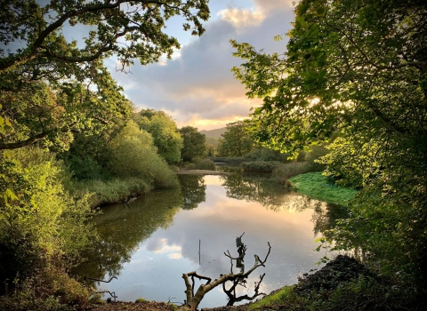 One of the large pools at Spinnies Aberogwen nature reserve. The water is surrounded on all sides by vegetation and large trees, at the very bottom of the picture, a dead branch juts out into the water as a perch for the local kingfishers. The picture is framed on both sides by large trees in full leaf overhanging the view point. On the horizon there are hills visible through a gap in the trees. The sky is blue, with lots of grey/ white clouds, all highlighted in yellow from the sun behind them. All the col