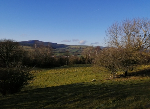 NWWT Aberduna Nature Reserve