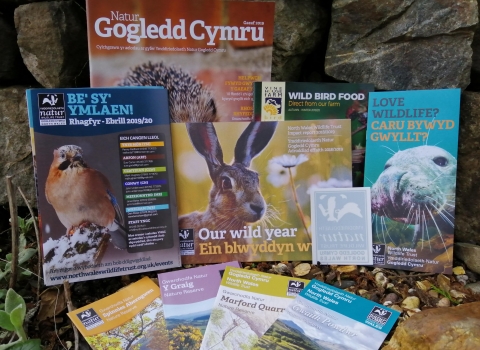 Welsh Membership pack