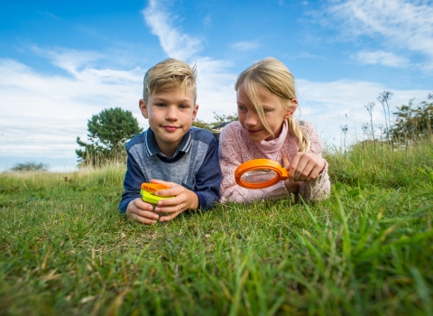 Children on grass