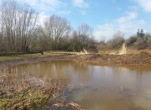 Marchwiel Marsh, Wrexham