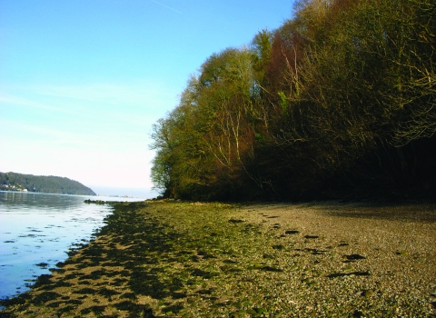 Nantporth Nature Reserve