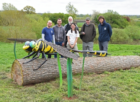 Clubtail Dragonfly sculpture - Holt (Wrexham)