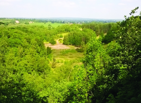 Marford Quarry Nature Reserve