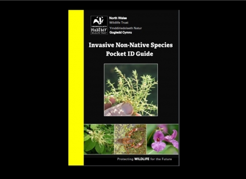 INNS ID guide