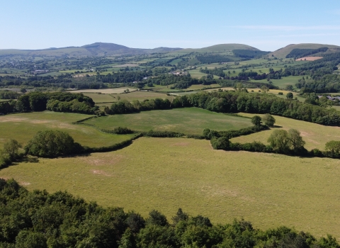 Alun and Chwiler Living Landscape Scheme