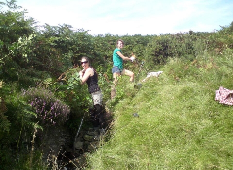 Volunteers no-fence tree planting