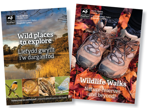 NWWT Walks guides covers