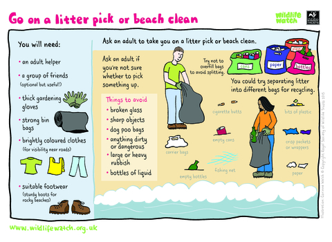 Litterpick_Activity Sheet