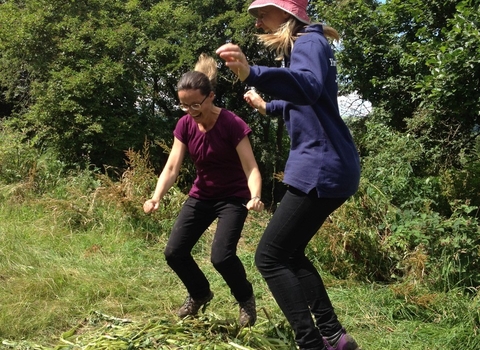 Volunteers 'balsam bouncing'