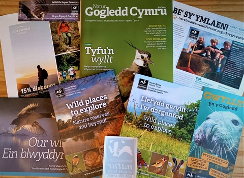 Welsh Membership pack