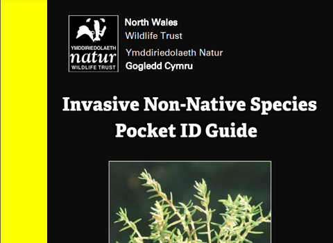 INNS Pocket ID Guide
