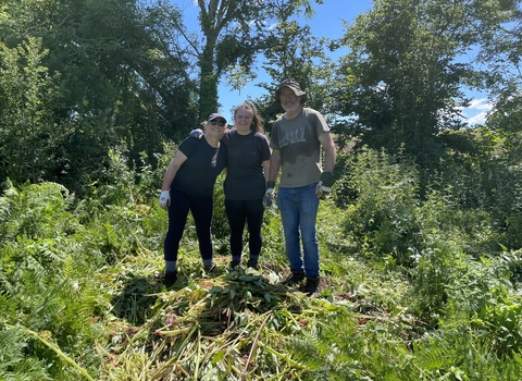 Himalayan balsam bashing at Parish Field 