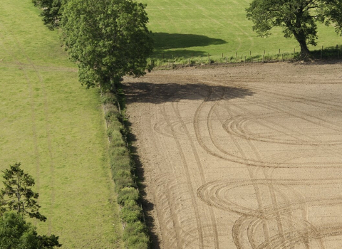 farmland