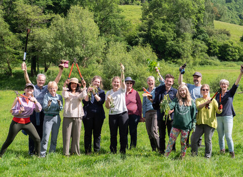 Balsam bashing 