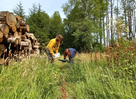 Two trainees crouched in tall grass with a bug net and an ID guide looking for insects