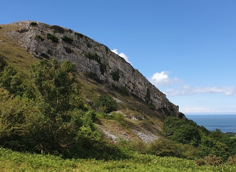 Limestone Grassland Restoration