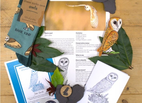 Sponsor a barn owl