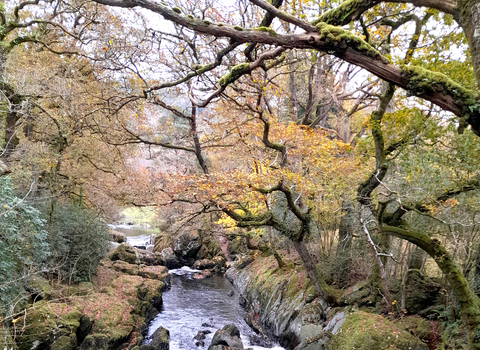 image of river at Betws y Coed