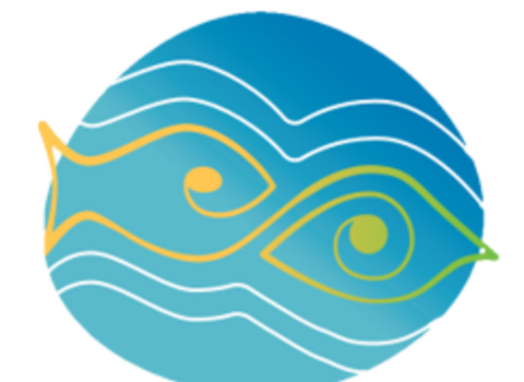 Y Mor a Ni logo with no text