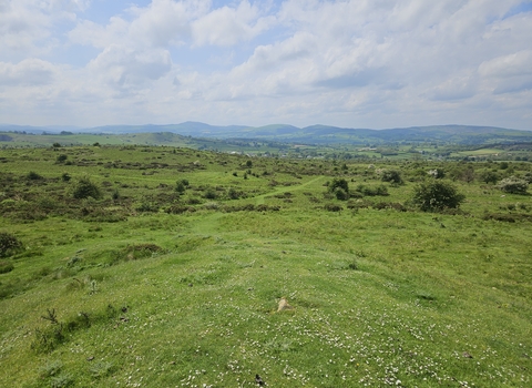 Halkyn common view