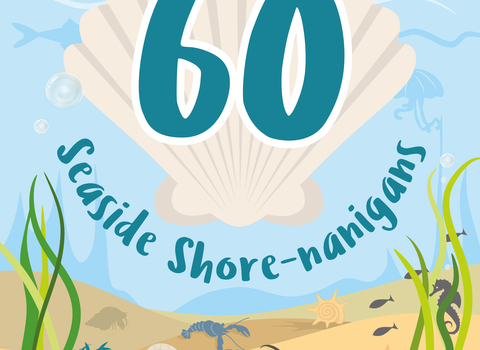 Cover of our Seaside Shorenanigans pack
