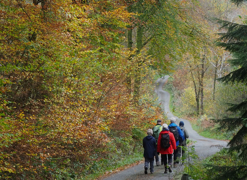 Group of people walking in autumn woodland. Path to distance with colourful trees to left hand side. 