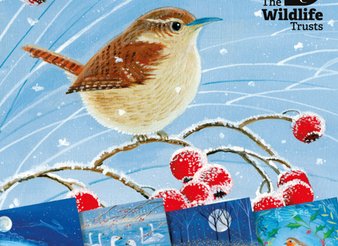 Art Christmas cards 2025