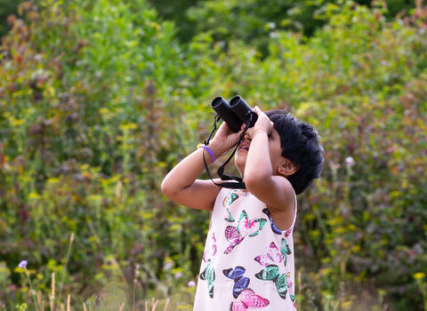 Girl in butterfly dress looking through binoculars 
