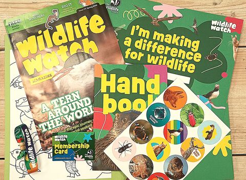 Wildlife Watch PAck
