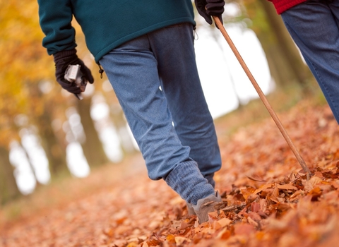 Walking in woods